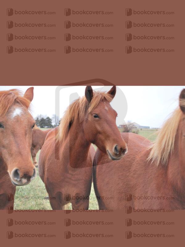 dianasgraphics_26163049