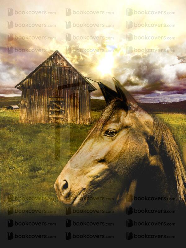 songandserenity_26154564