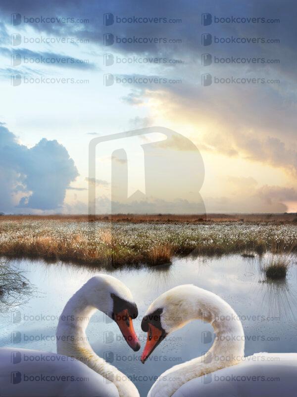 saphira_26162008
