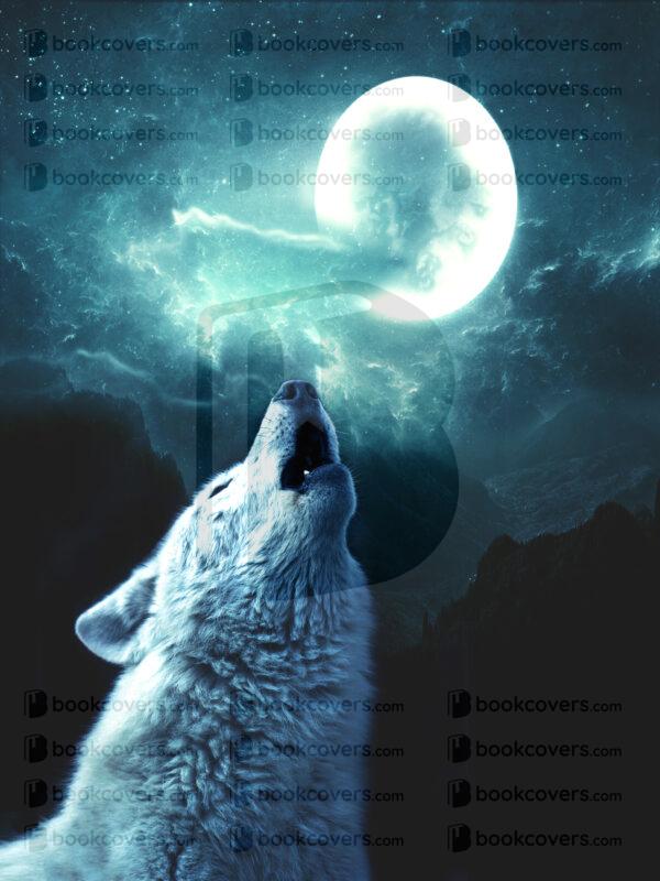 saphira_26162105