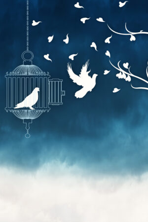 saphira_26163253