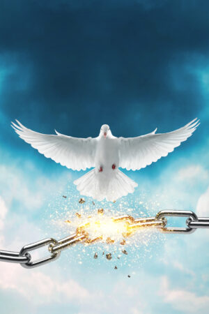 saphira_26164386