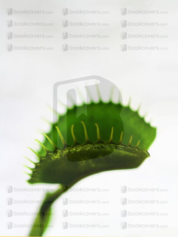 goodcoverdesign_26201509