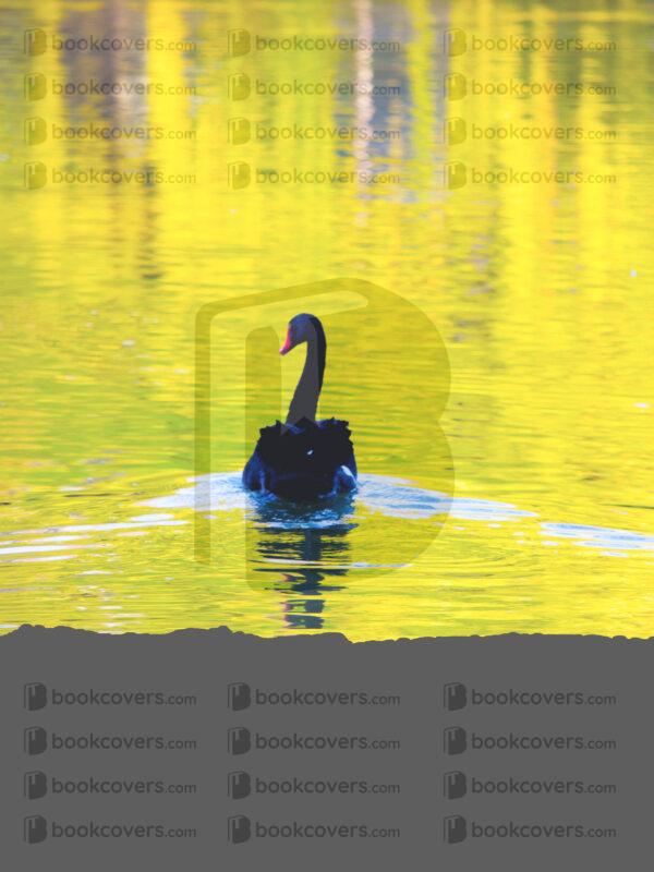 goodcoverdesign_26201530