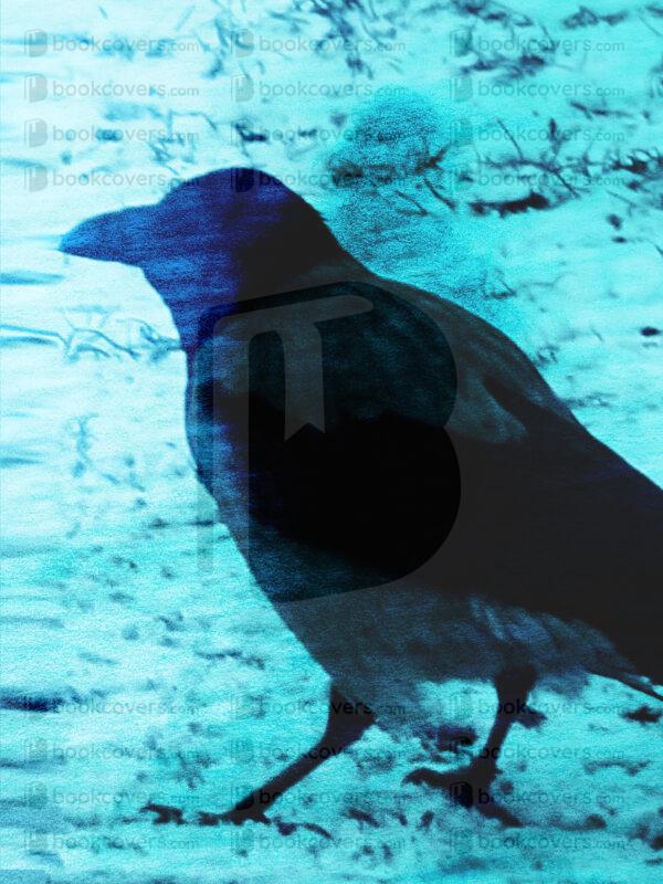 goodcoverdesign_26188350