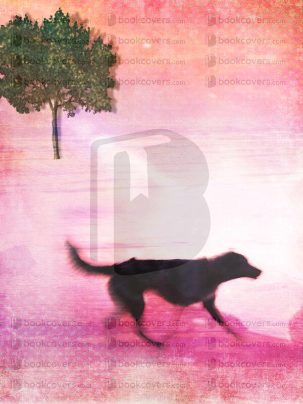 goodcoverdesign_26188881