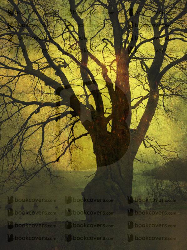 goodcoverdesign_26189107