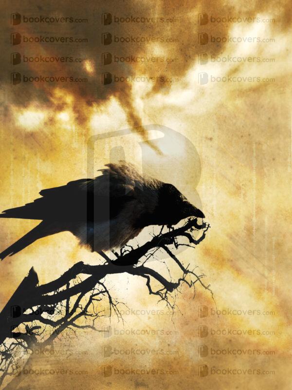 goodcoverdesign_26178246