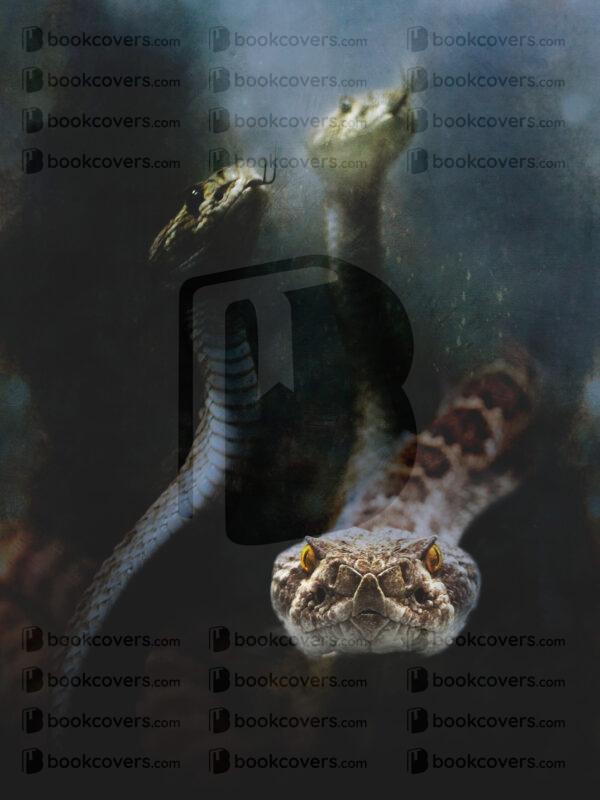 goodcoverdesign_26179973
