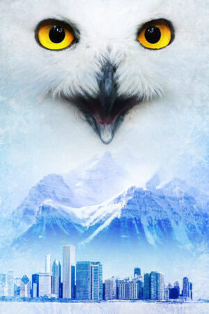 snowwhitedesign_26180964