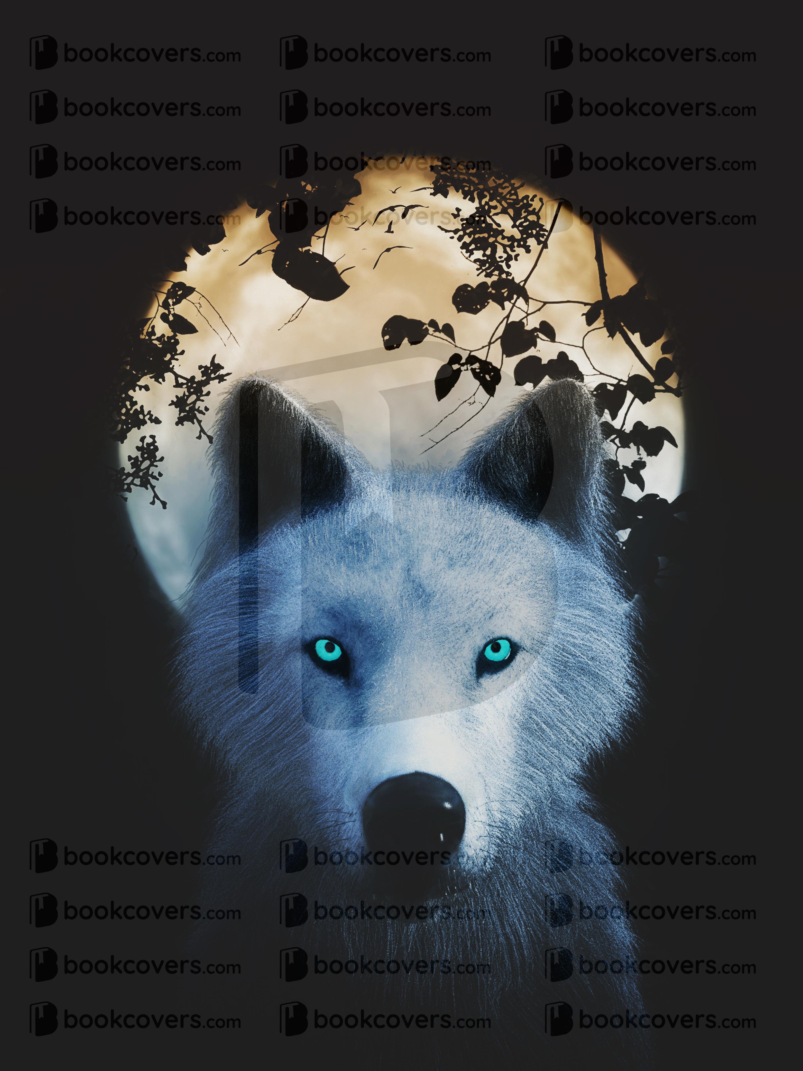 dawnydawny_26172575