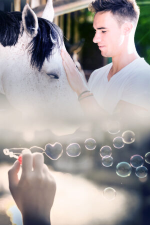 shardel_26172588