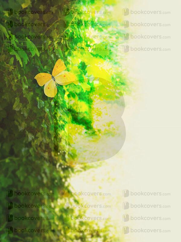visions_26167509