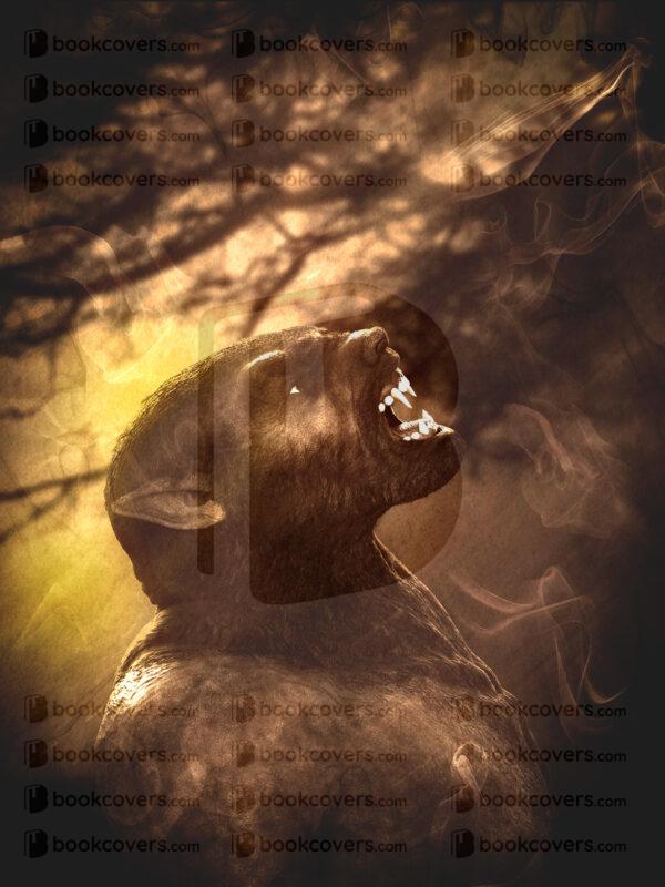 visions_26168032