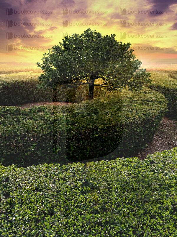 visions_26168613