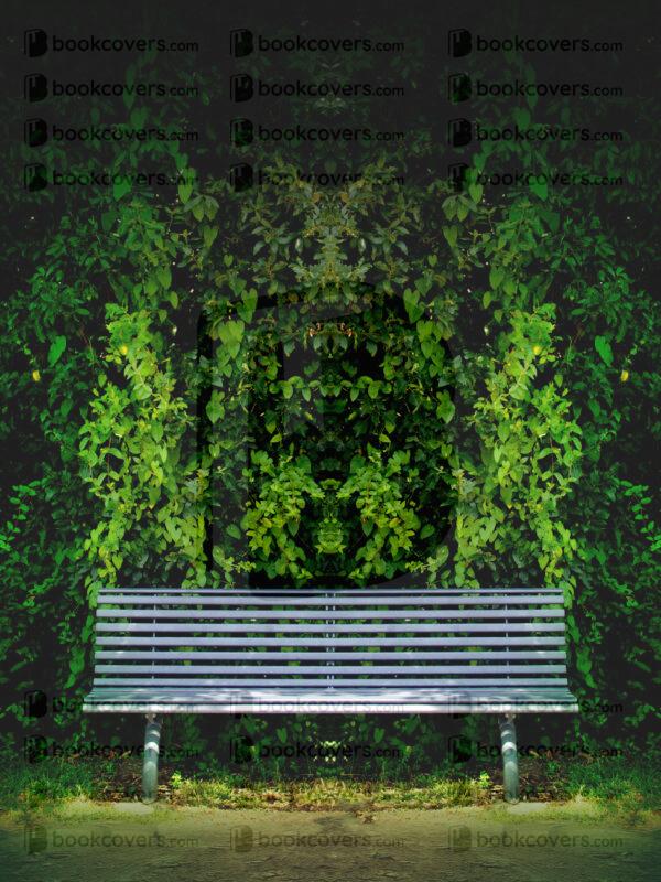 visions_26169111