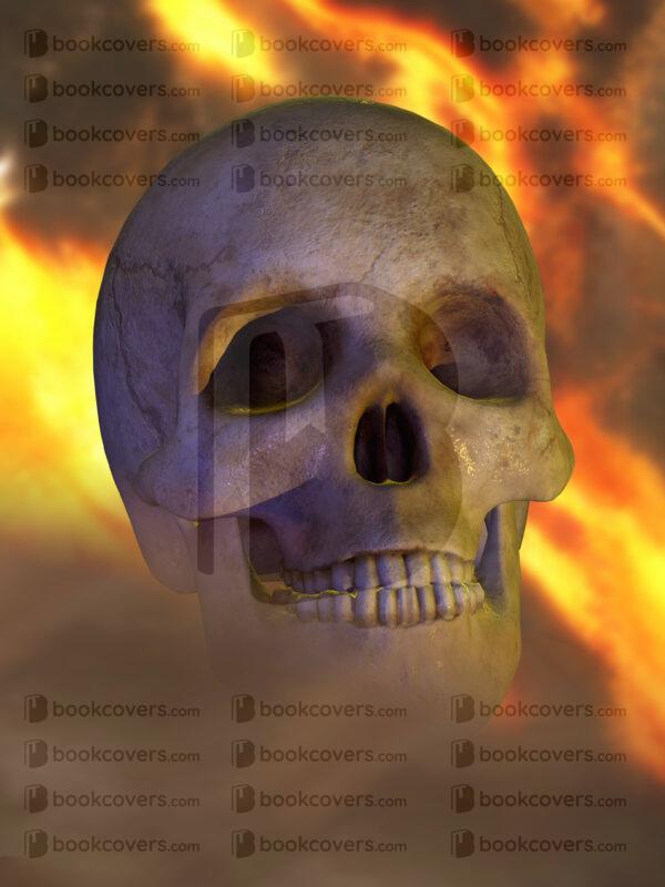 thrillerauthor_26168994
