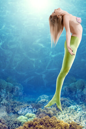 dianecostanzastudio_26175696