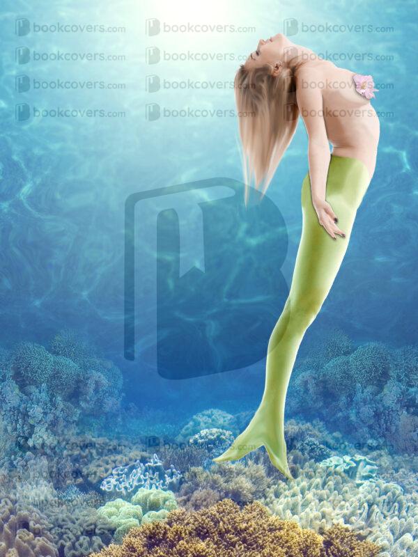 dianecostanzastudio_26175696