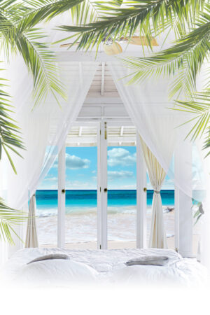 dianecostanzastudio_26164949