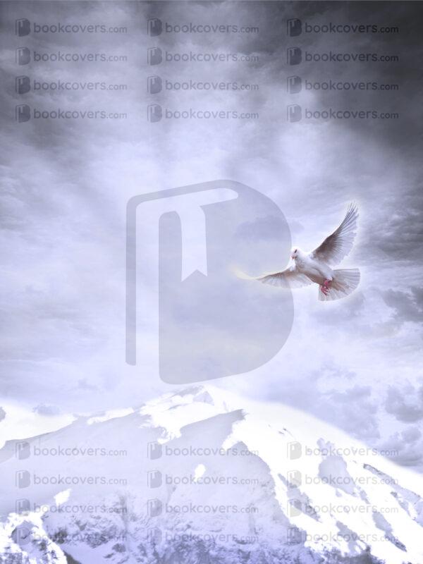 dianecostanzastudio_26166906