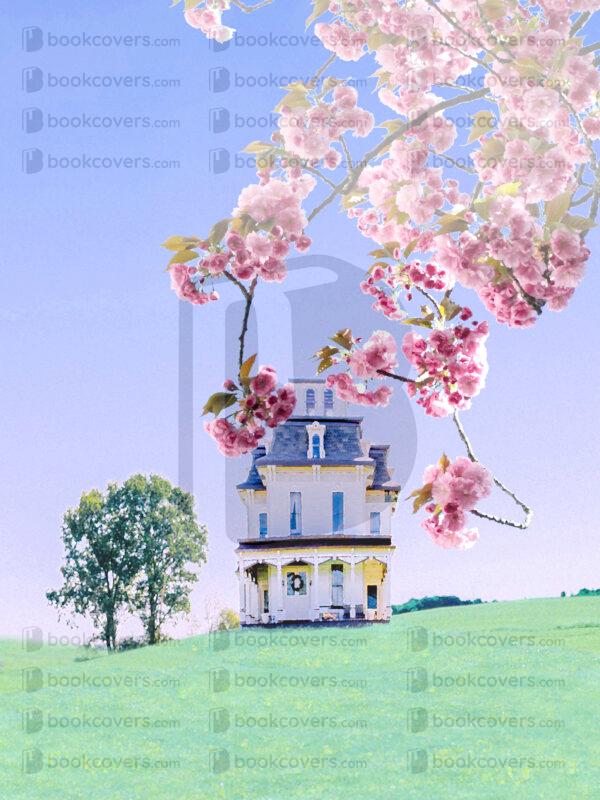dianecostanzastudio_26166478