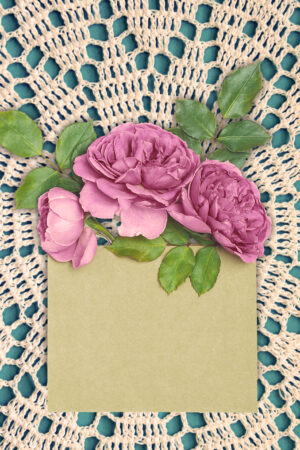 dianecostanzastudio_26166618