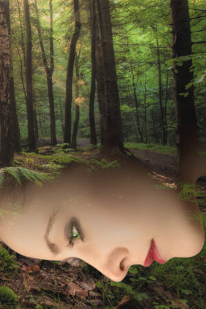 dianecostanzastudio_26167099