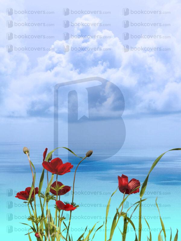 dianecostanzastudio_26167115