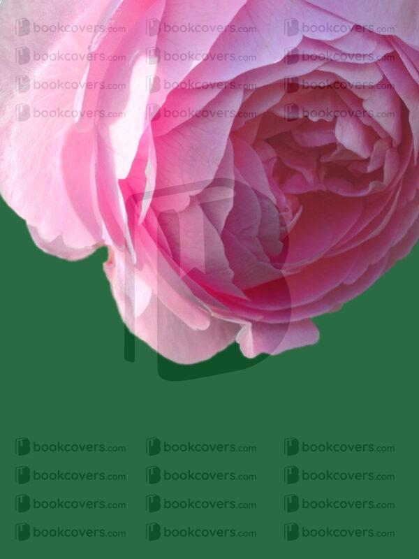 davindermatharu_26167528