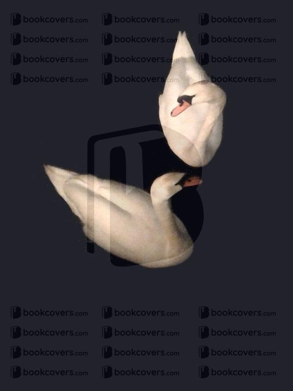 davindermatharu_26167560