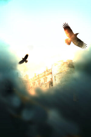 sunraven_26168459