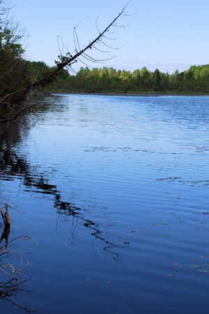 sandizel_26171436