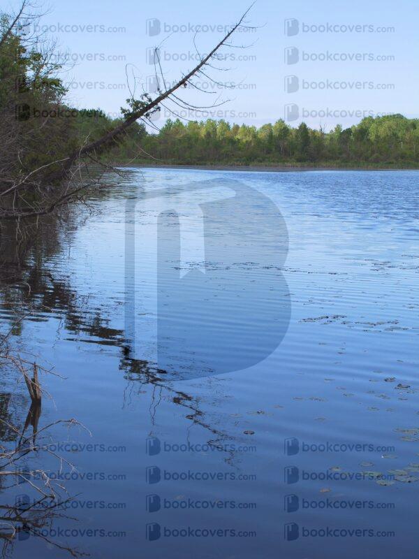 sandizel_26171436