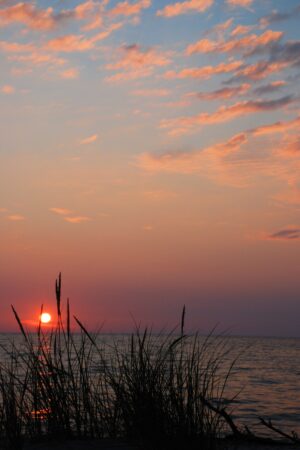 sandizel_26171488
