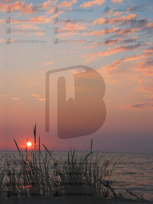 sandizel_26171488
