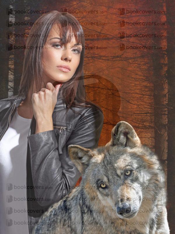 evisionarts_26165231