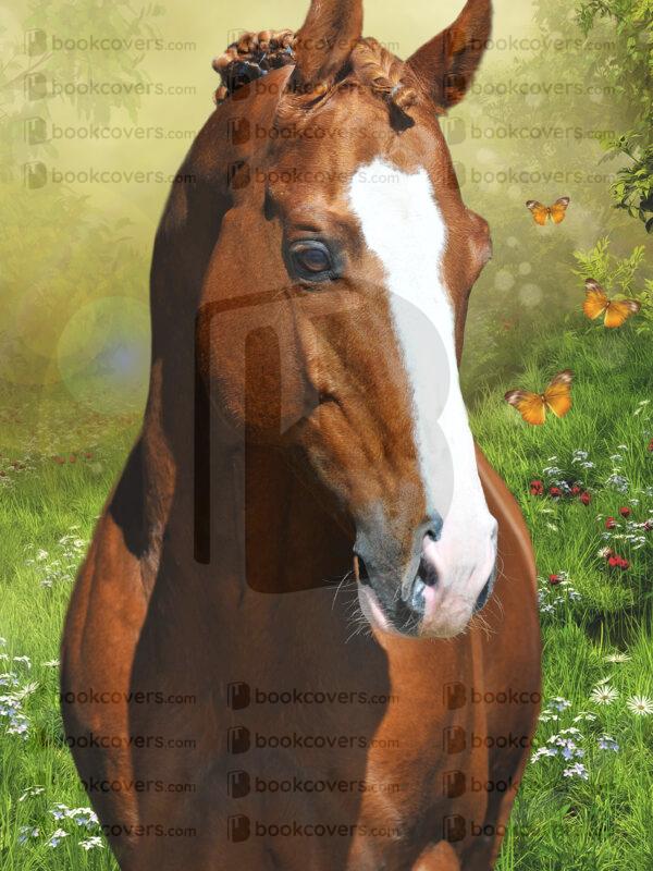 fantasyart_26173069