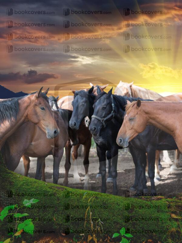 fantasyart_26176533
