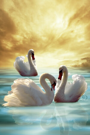 fantasyart_26188361