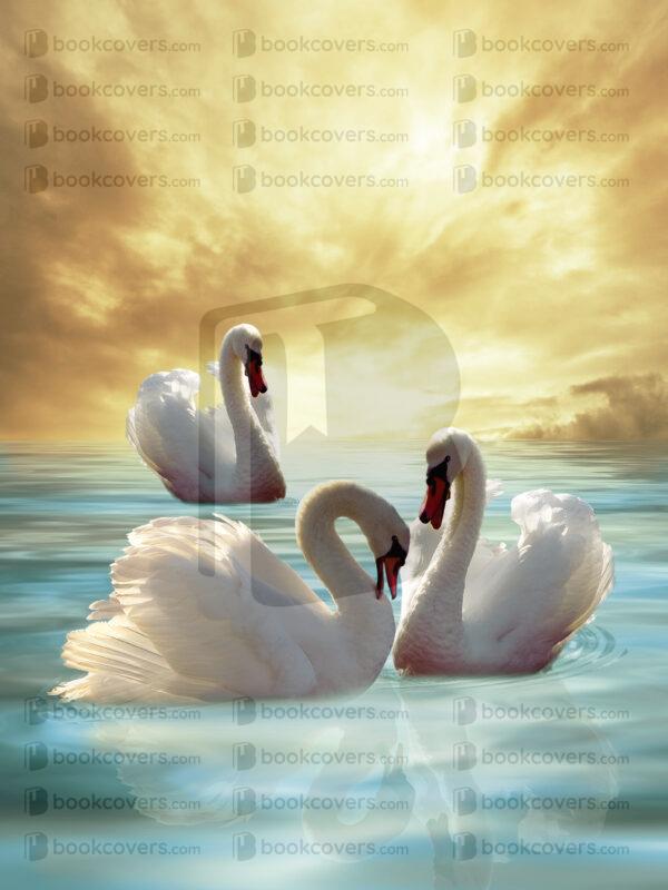 fantasyart_26188361