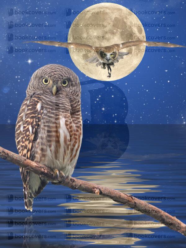 fantasyart_26180382