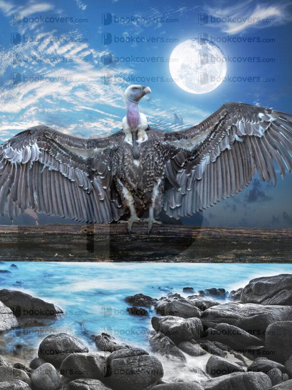 fantasyart_26178378
