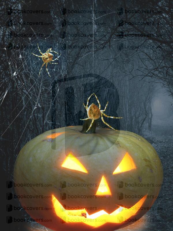 fantasyart_26178662