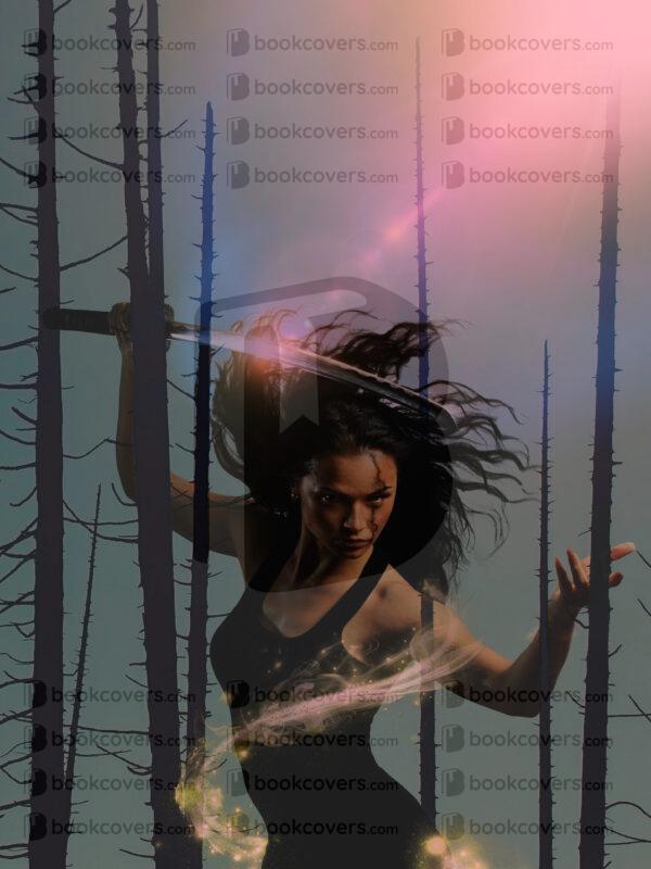 fantasyart_26179334