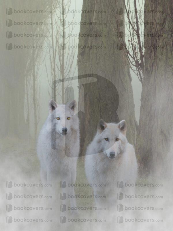 fantasyart_26190115