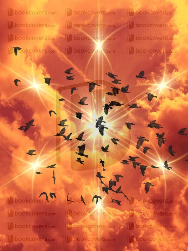 fantasyart_26192191