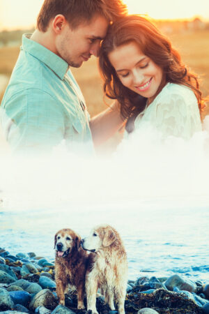 ineedabookcover_26190592