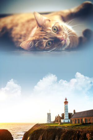 ineedabookcover_26190679