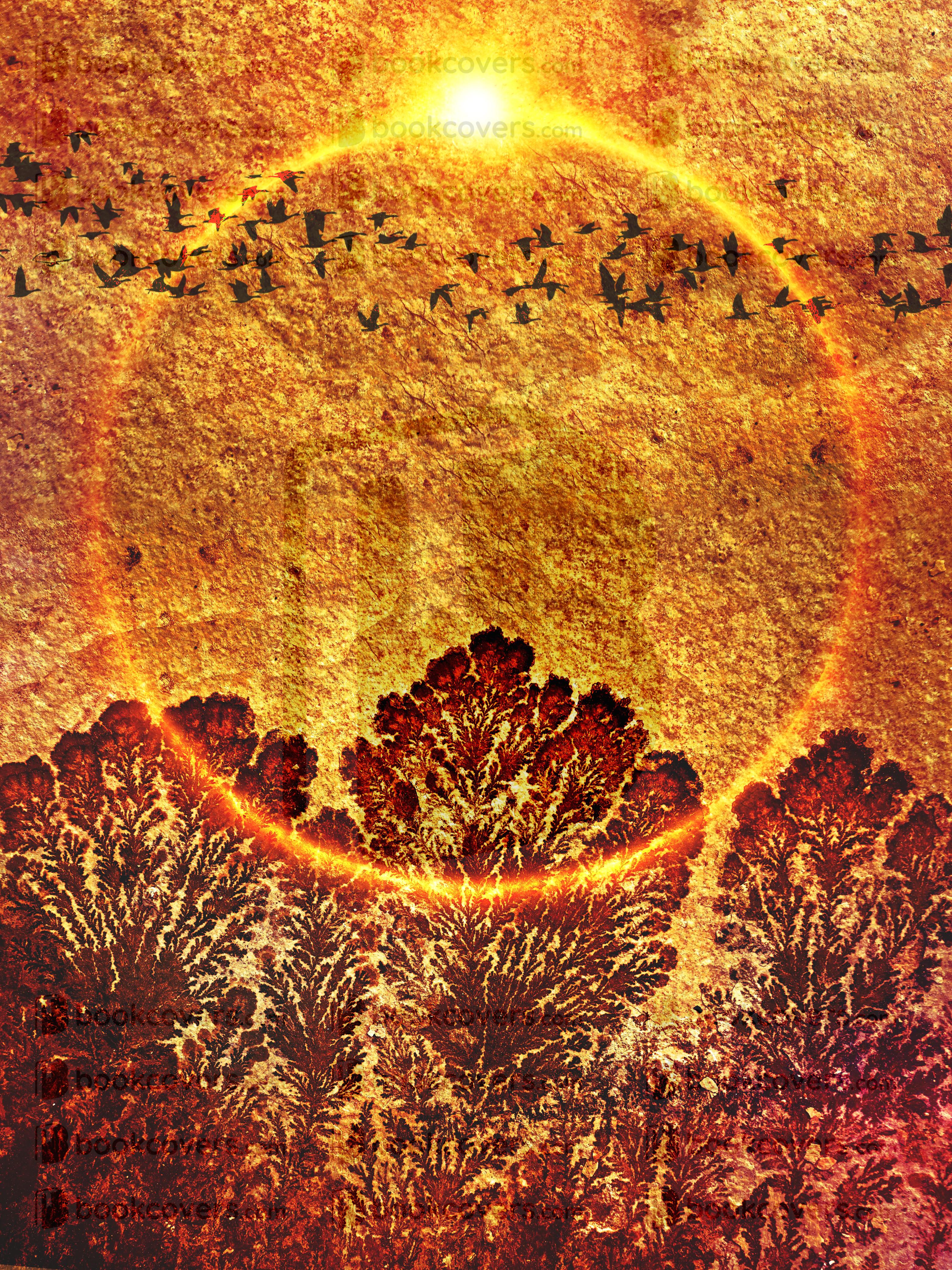 johnbellart_26193855